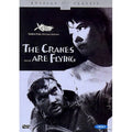 [DVD] The Cranes Are Flying - Russian Classic