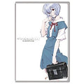 [DVD] Evangelion: Seo 1.11: Common Case
