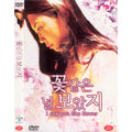 [DVD] I Saw You Like Flower