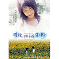 [DVD] Now, Go To Meet (2Disc) [Ima, Ima] - Takeuchi Yuko, Hiraokayuta