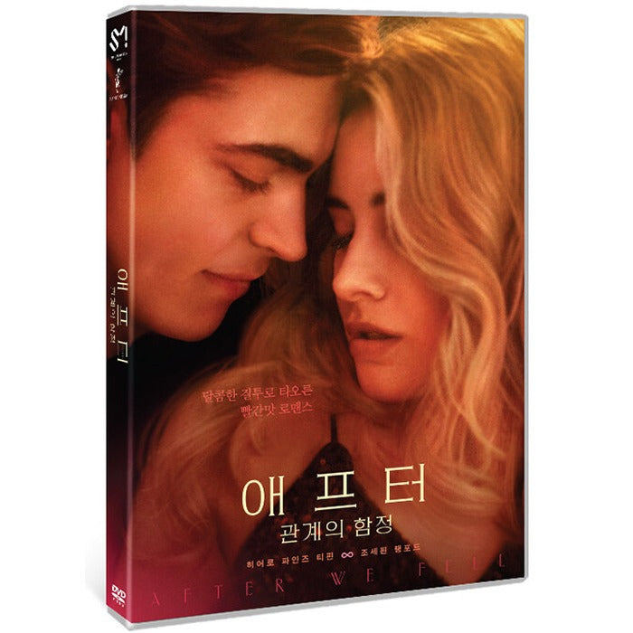 [DVD] After We Fell