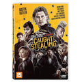 [DVD] Caught Stealing