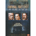 [DVD] Animal Factory