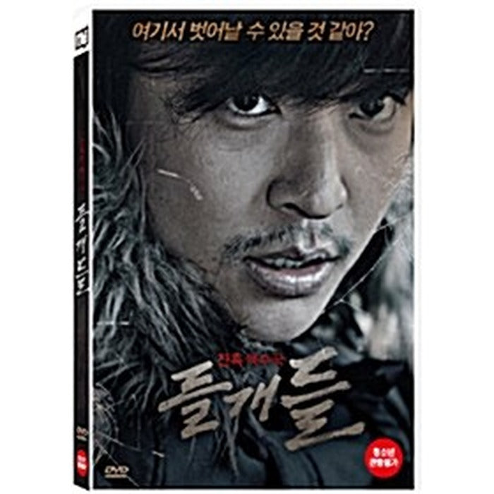 [DVD] Stray Dogs