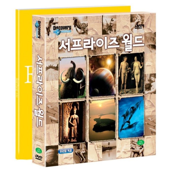 [DVD] Real Focus - Discovery