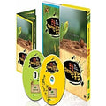 [DVD] Mbc Documentary: Insect, Great Bond (2Disc) - Kim Jinman, Kim Jungmin Director
