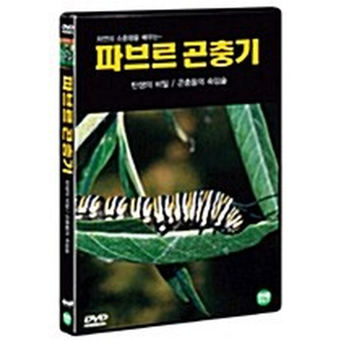 [DVD] Paverick 1 - Birth Secret. Insects