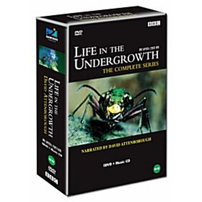 [DVD] [Bbc Documentary] Live Insect World (5Disc)