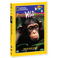 [DVD] [Internal Geographic] Monkey And Spiritual Animals (Monkey Business And Other Family Fun)