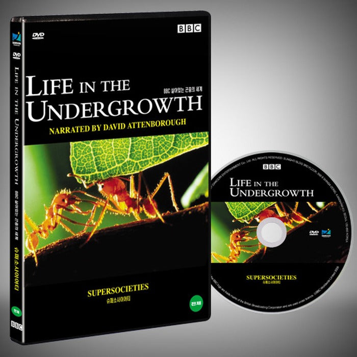 [DVD] Life In The Undergrowth- Supersocieties