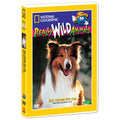 [DVD] The Truth About Dogs & Cats