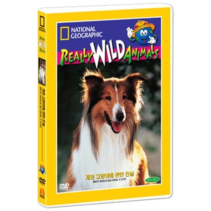 [DVD] The Truth About Dogs & Cats