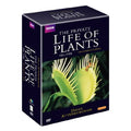 [DVD] Plant Life: Bbc World Famous Documentary Series 1St (Kbs Screening)