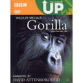 [DVD] GORILLA