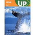 [DVD] Humpback Whale
