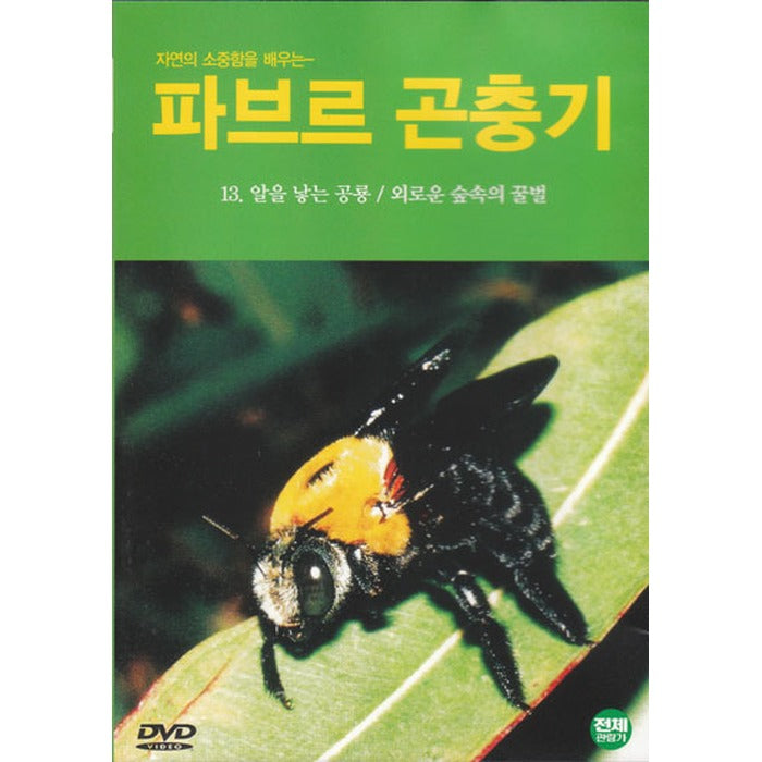 [DVD] Pavlov Puffalo 13 - Alan Gilbert Honeybee