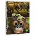 [DVD] Imax: Born To Be Wild