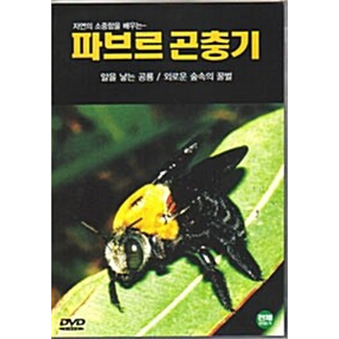 [DVD] (Hungo) Paverick 13 - Alain Honeybee