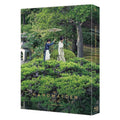 [Blu-ray] The Handmaiden (2016) Limited Edition Steelbook Version B - Korean Blu-ray cover